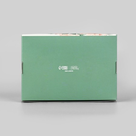 Box for eclairs with the liners of the "smallest", 15 x 10 x 5 cm-3