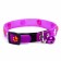 Fly collar with paws, 29 x 1 cm, mix of flowers
