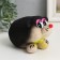 Growing gift grass "Hedgehog"