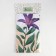Apron Green Planting 60x80cm, 100%PE