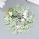 Decor for creativity Plastic 1 Puncture "Rhinestones. Light Greens" nr 100 pcs 1.3x1.3 cm 74290