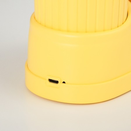 Table lamp "Boat Cat" LED 3 modes 3W USB Organizer yellow 8x11x31 cm Risalux-11