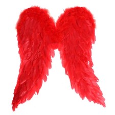 Wings 