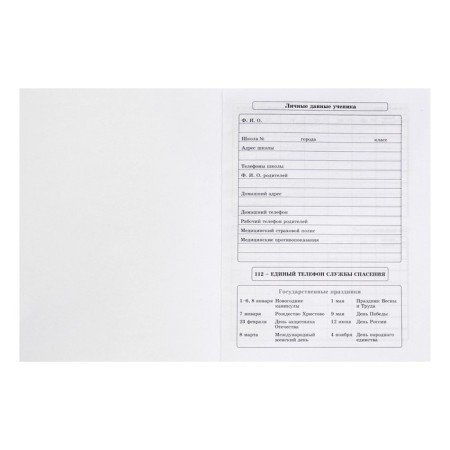 Universal diary for grades 1-11, 40 sheets "Rainbow dog", solid cover, stamping with cold foil, offset unit-3