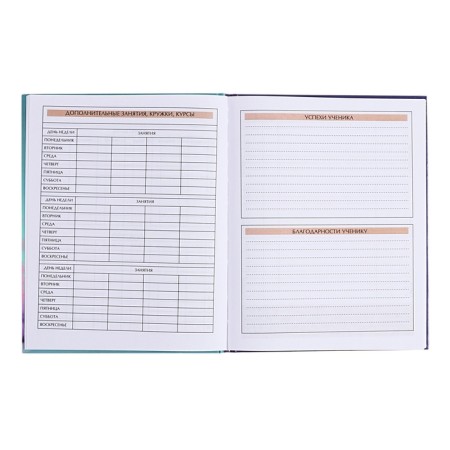 Diary for grades 5-11, solid cover "Pets", glossy lamination, intellectual content, block 60g/m2-7