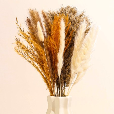 Set of dried flowers of 5 types "Grace" 48x16x6 cm-1