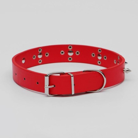Animal collar-1