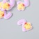Decor for creativity "Number 7 with an animal" set 10 pcs 2x2.1 cm