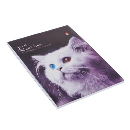 Notepad A6, 40 sheets on the clip "kittens", mix-1