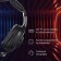 Headphones with a microphone hal hs-l575g black invoice BT Bethelest (1895253)