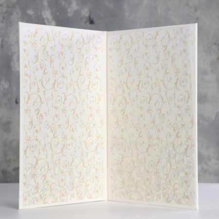 Folder for the birth certificate "White" soft, a4-1