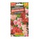 Flower seeds Godegia "Beauty Summer" coarse -flowered, mixture of colors, o, 0.2 g