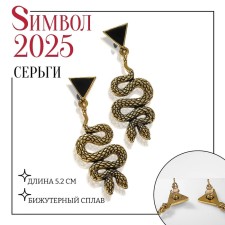 Earrings Metal 