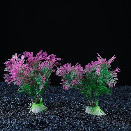 Set of artificial plants for aquarium (2 pcs), 10 cm-1