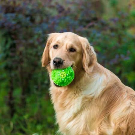The croaking ball for dogs is large, hard, 9.5 cm, green-7