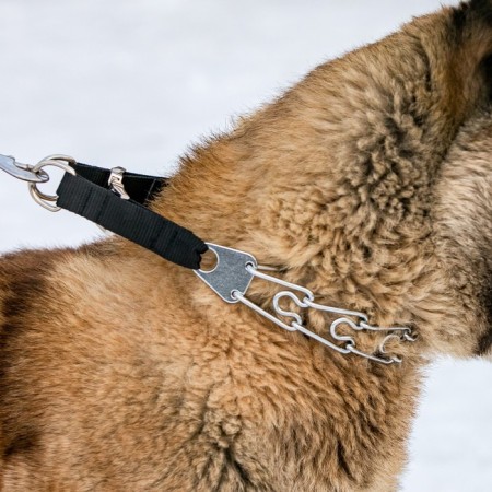 The collar is strict with metal fastx and protective caps, 63 cm, wire thickness 4-10