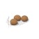 Dry food RC Sterilized +12 for sterilized cats, 400 g