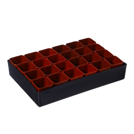 Set for seedlings: glasses of 70 ml (24 pcs), pan 29.5 × 20 cm, mix-15