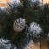 Wreath "Christmas" snow -white (with silver cones) 55 cm