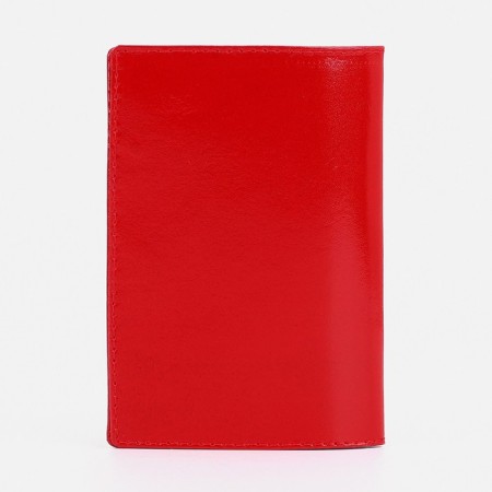 Cover for passport, red color-1