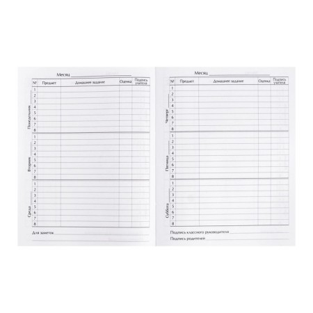 Diary for grades 1-4, "Space Panda", solid cover 7BC, matte lamination, foil embossing, 48 sheets-6