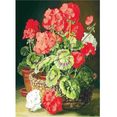 Fabric-scheme for embroidery with ribbons on the Gabardin Karolinka "Geranium", 25x36 cm