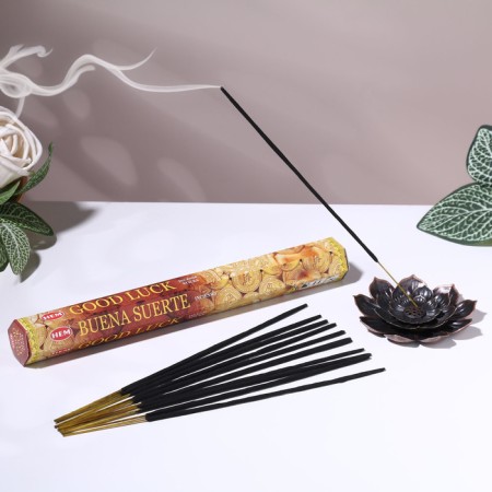 Incense hem "good luck. Happy case", 20 sticks in packaging, hexagon