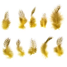 A set of feathers for decor 10 pcs., Size 1 pc: 5 × 2 cm, yellow color with brown
