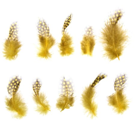 A set of feathers for decor 10 pcs., Size 1 pc: 5 × 2 cm, yellow color with brown