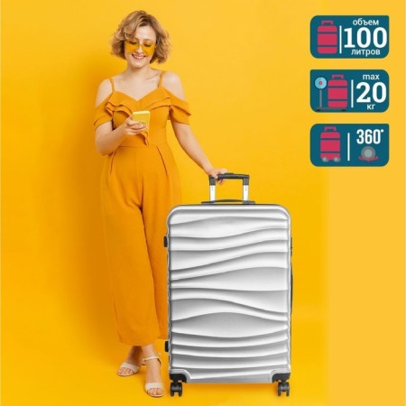 Suitcase Fusion FTS-1006, L, silver-9