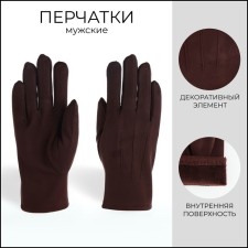 Gloves are male, dimensionless, with insulation, brown color