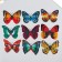 Magnet Plastic "Butterfly Double Wings" under textile shine mix 8.5x12 cm