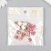 Decor for creativity Plastic "Rose" set of 20 pcs 1.6x1.6 cm