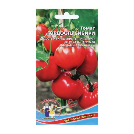 Seed Tomat Pride of Siberia 20 pcs.