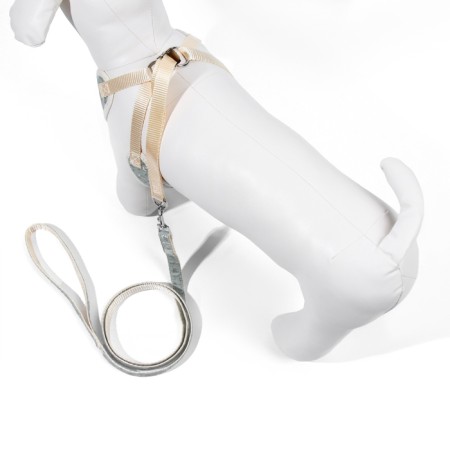 A set with a soft bog "branches", size l, leash 120 x 1.5 cm, og 42-76 cm, gray-2