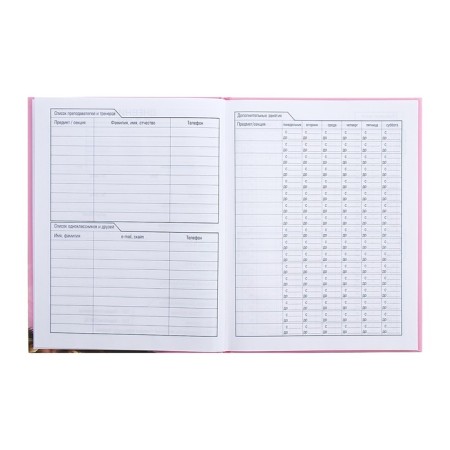 Universal diary for grades 1-11 Milashka, hard cover, matte lamination, 3D foil, 40 sheets-5