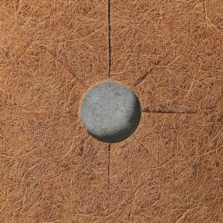 The circle is trunk, d = 0.9 m, from the coconut canvas, a set of 5 pcs., "Mulchamagram"-9