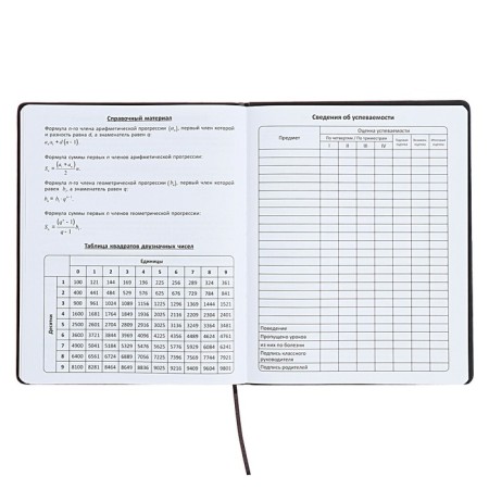 Universal diary for grades 1-11 "Font", firm cover of artificial leather, lies, 48 ​​sheets, black and blue-13