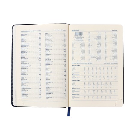 Dated diary of 2025, A5, 168 sheets in a ruler, leatherette "Nebraska", silver cut, blue-8