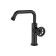 IDDIS GRANGE GRABLR01 sink mixer, black