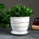 Flower pot "Magnolia" white, 1.4 liters