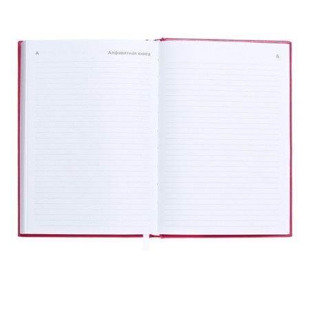 Dated diary 2024, A5, 176 sheets, Attomex.even, Bumvinyl cover, Lasse, Blok 70 g/m2, pink-10