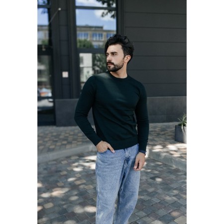 Jumper male ise, size 56, emerald color-4