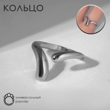 The ring 