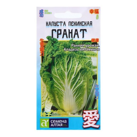 Cabbage seeds "Beijing grenade", 0.3 gr.
