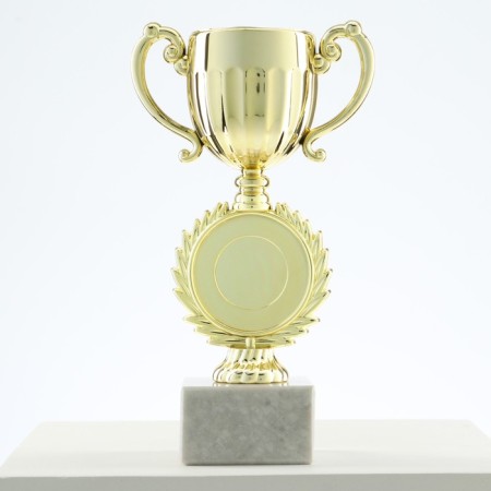 Cup 186, award figure, gold, stand stone, 17 x 9.5 x 5 cm.-1