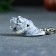 Tiger Head 4.5cm