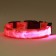 Collar with Militari's backlight 3 glow modes Size S, Osh 22-40 x 2.5 cm pink