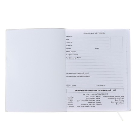 Universal diary for grade 1-11 "All Dreams about you", soft cover, artificial leather, silk-screen printing, Liesse, 80 g/m2-3