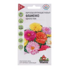 Floral Flmenko Pedulak seeds, 0.01 g